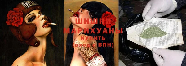 ГАЛЛЮЦИНОГЕННЫЕ ГРИБЫ Балахна